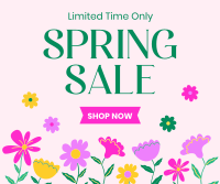 Celebrate Spring Sale Facebook Post Preview