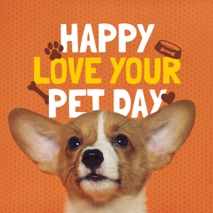 Wonderful Love Your Pet Day Greeting Instagram post Image Preview