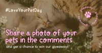 Love Your Pet Day Giveaway Facebook ad Image Preview