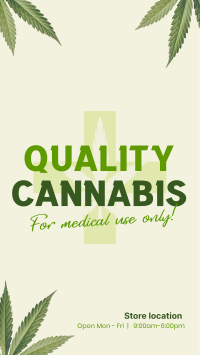 Quality Cannabis Plant TikTok video Image Preview