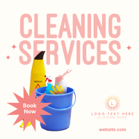 Professional Cleaner Instagram post Image Preview