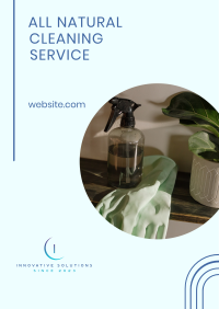 Natural Cleaning Services Poster Image Preview