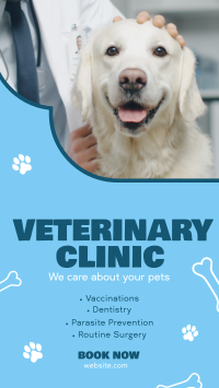 Professional Veterinarian Clinic Instagram reel Image Preview