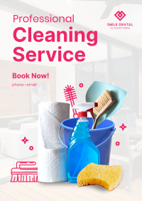 The Professional Cleaner Flyer Image Preview