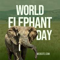 World Elephant Day Instagram Post Design