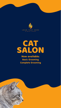 Cat Salon Packages Instagram Story Design