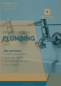 Professional Plumbing Poster Image Preview