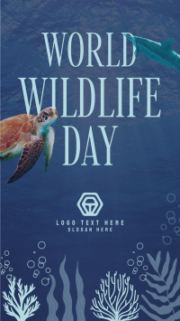 Aquatic Wildlife  TikTok Video Design