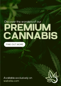 Premium Cannabis Poster Image Preview