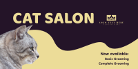 Cat Salon Packages Twitter post Image Preview