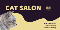 Cat Salon Packages Twitter Post Image Preview