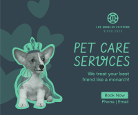 Pet Lounge Facebook post Image Preview