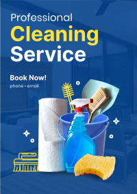 The Professional Cleaner Flyer Image Preview