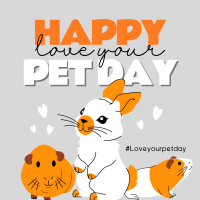 Happy Pet Day Instagram post Image Preview