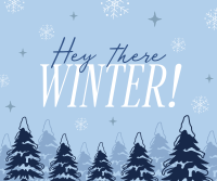 Hey There Winter Greeting Facebook Post Design