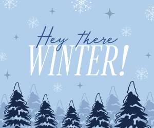 Hey There Winter Greeting Facebook post Image Preview