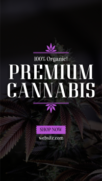 High Quality Cannabis TikTok video Image Preview