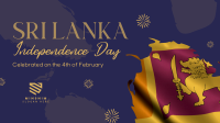 Sri Lankan Flag Video Image Preview
