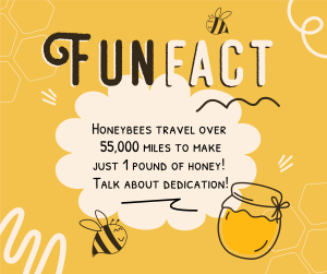 Honey Bees Fact Facebook post Image Preview