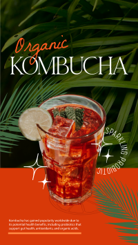 Organic Kombucha Instagram reel Image Preview