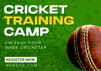 Cricket Training Camp Postcard Image Preview