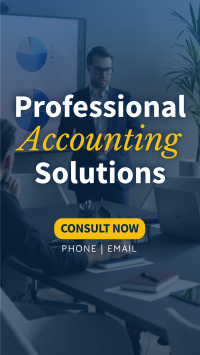 Professional Accounting Solutions TikTok video Image Preview