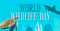 Aquatic Wildlife  Facebook ad Image Preview