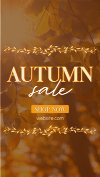 Special Autumn Sale  YouTube short Image Preview