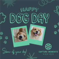 Doggy Photo Book Instagram Post Design