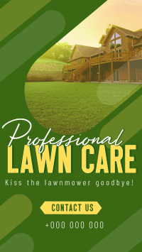 Professional Lawn Cleaning Video Preview