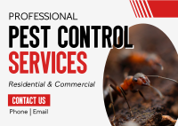 Pest Control Business Services Postcard Image Preview