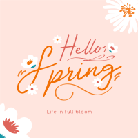 Hello Spring Greeting Instagram post Image Preview