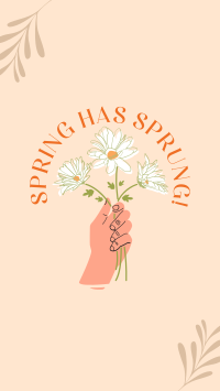 Spring has Sprung Facebook Story Design
