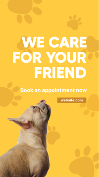 We Care Veterinary Facebook Story Design