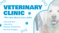 Professional Veterinarian Clinic Video Image Preview