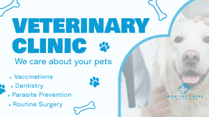 Professional Veterinarian Clinic YouTube Video Image Preview
