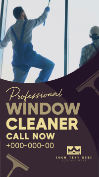 Streak-free Window Cleaning Instagram reel Image Preview