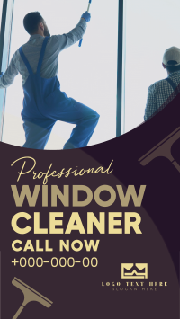 Streak-free Window Cleaning Instagram Reel Preview