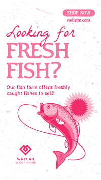 Fresh Fish Farm Instagram Story Design