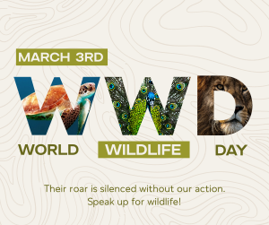 World Wildlife Day Facebook post Image Preview