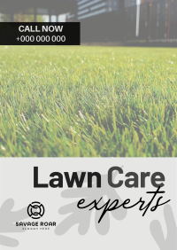 Lawn Care Experts Poster Image Preview