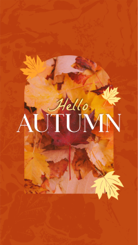 Hello There Autumn Greeting TikTok Video Design