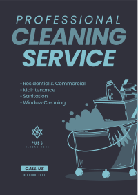 Cleaning Professionals Flyer Image Preview