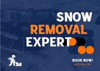 Snow Removal Expert Postcard Design