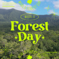 World Forest Day  Instagram post Image Preview