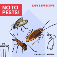 House Pest Control Instagram post Image Preview
