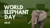 World Elephant Celebration Animation Image Preview