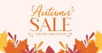 Autumn Limited Offer Facebook ad Image Preview
