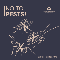 House Pest Control Instagram post Image Preview