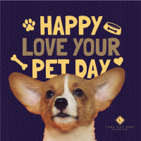 Wonderful Love Your Pet Day Greeting Instagram Post Design